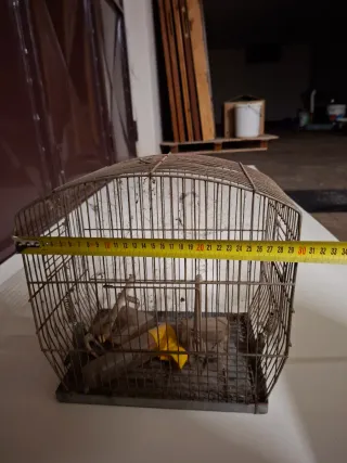 Gabbie per uccelli, canarini, caccia