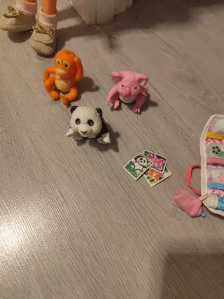 Nancy Salva Animalitos