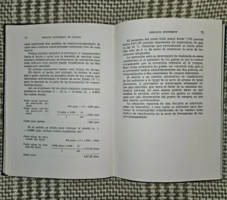 Libro Gestion Economica de Stocks