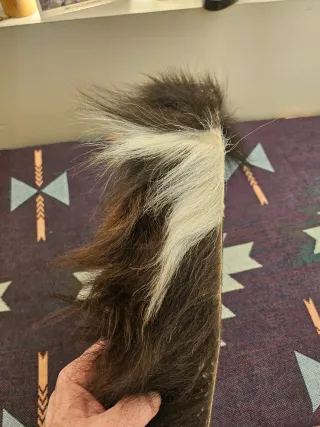 Tambor ceremonial chamanico andino - pieza unica -