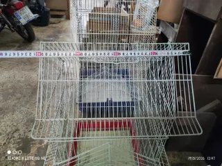 Jaulas para pájaros (varios colores)