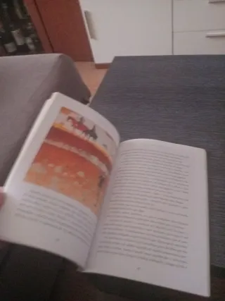 Don Quijote - Cucaña (Cucana) (Spanish Edition)