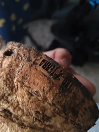 Cueva terrario Exo Terra