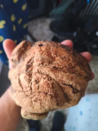 Cueva terrario Exo Terra