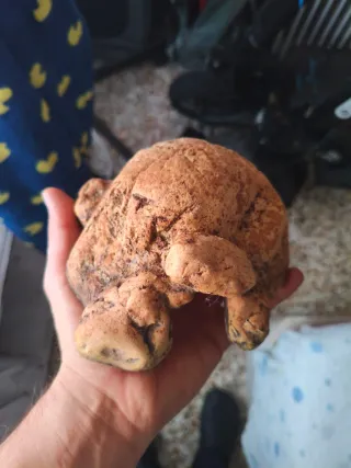 Cueva terrario Exo Terra