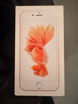 Scatola iPhone 6s rosa