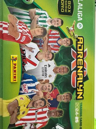 Lote Cromos Adrenalyn XL 24-25