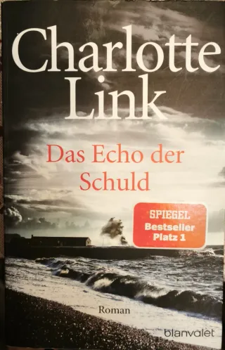 Das Echo der Schuld Roman