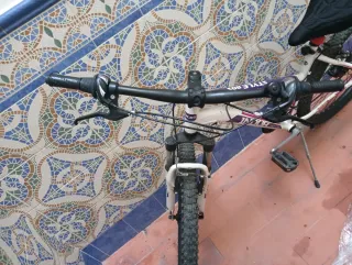 Bicicleta de montaña blanca y morada