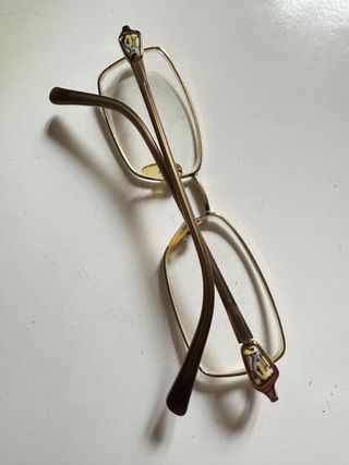 Montatura Occhiali Emilio Pucci Oro/Marrone