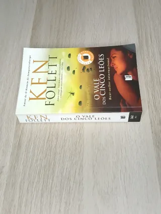 O Vale dos Cinco Leões (Portuguese Edition)