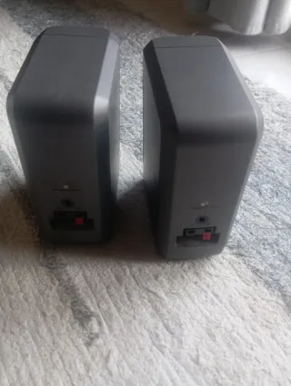 Altavoces Sony Negros