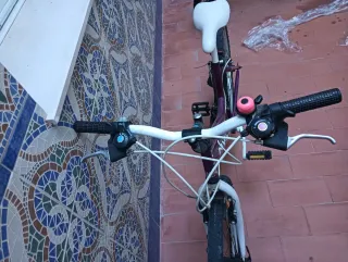 Bicicleta infantil morada