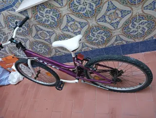 Bicicleta infantil morada