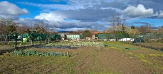 Parcela regadío mendigorria