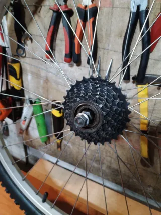 Rueda Trasera GURPIL 26x1.95