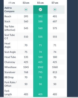 Gravel Talla 55 Bergamont