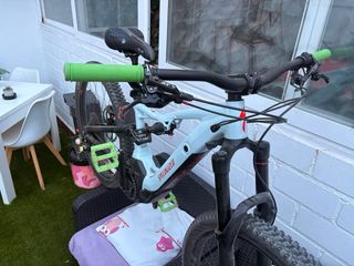 Specialized Turbo Levo Eléctrica