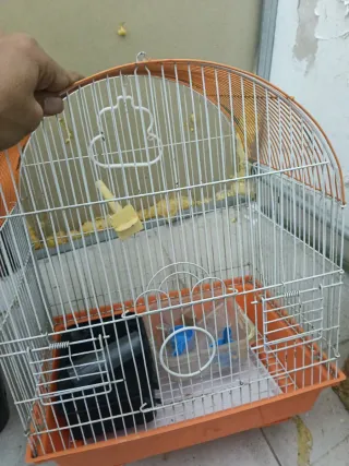 Jaula para pájaros naranja y blanca