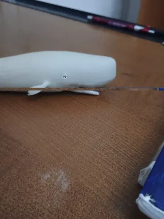 Capodoglio in resina bianco