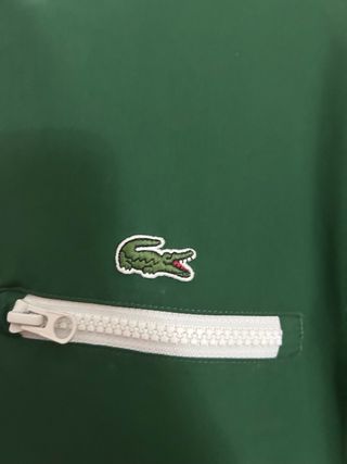 Cortavientos Lacoste Verde