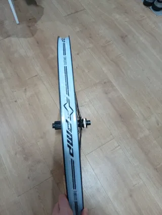 Rueda trasera 29' DT Swiss EX511 Boost