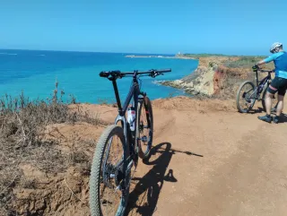 Cube Reaction Carbono