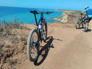 Cube Reaction Carbono