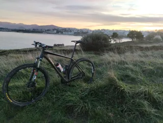 Cube Reaction Carbono