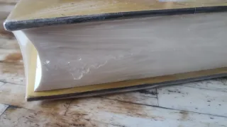 Nietzsche: biografÝa de su pensamiento