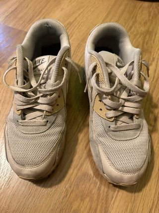 Nike Air Max Beige/Gris