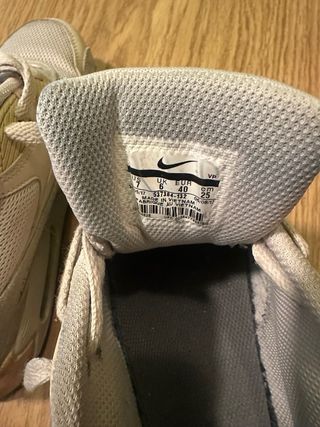 Nike Air Max Beige/Gris