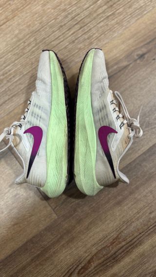 Zapatillas Nike Air Zoom Pegasus 39 Mujer