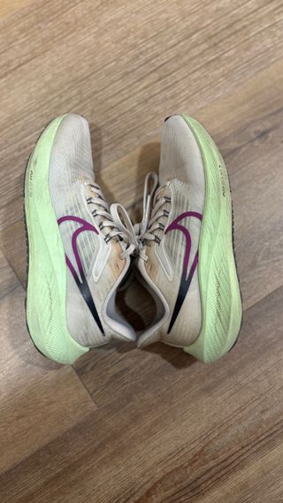 Zapatillas Nike Air Zoom Pegasus 39 Mujer