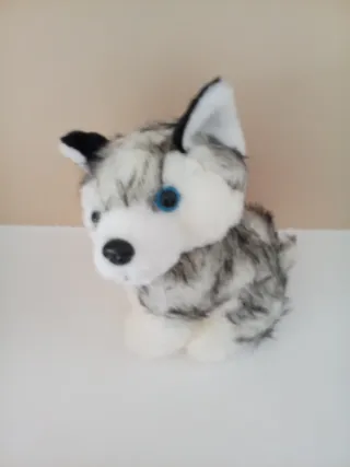 Peluche perro Husky ojos azules.