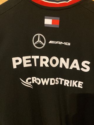 Camiseta Lewis Hamilton 2024 Team