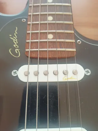 Godin Session HT Guitarra Eléctrica (cambio)