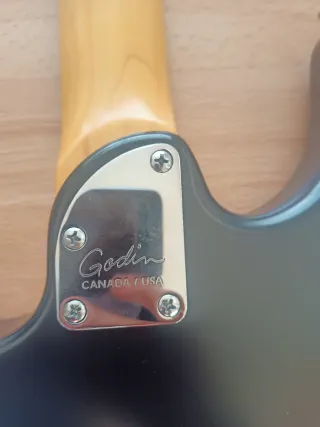 Godin Session HT Guitarra Eléctrica (cambio)