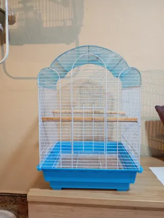 Jaula mediana para pájaros