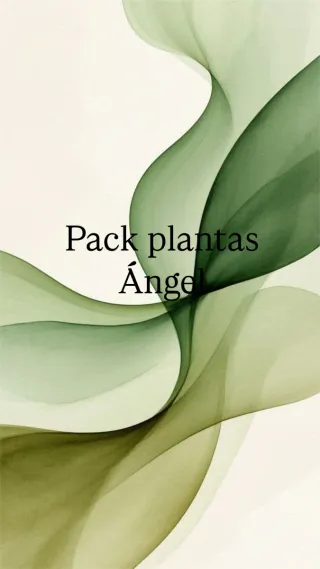 Pack plantas Ángel