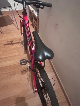 Bicicleta Orbea mx24