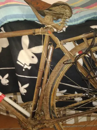 Bicicleta Clásica 1957