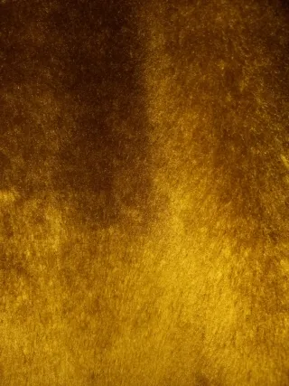 Giaccone cerato con interno staccabile col. Nero