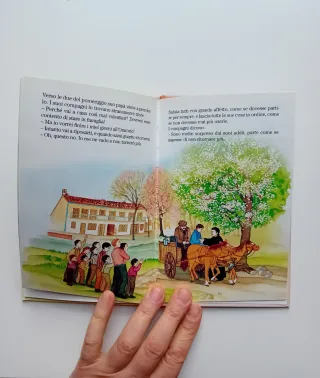 Domenico,mio amico  Editrice Elledici