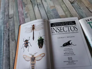 INSECTOS. MANUAL DE IDENTIFICACION (GUIAS DEL N...