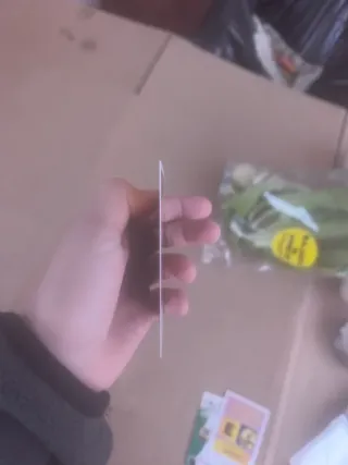 Lamine Yamal Balón de Oro 2026-2027