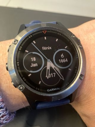 Garmin Fenix 5 Azul/Gris