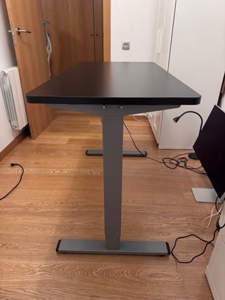 Escritorio Elevable Eléctrico FlexiSpot 120x60