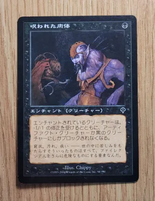 Lote 8 Cartas Magic The Gathering Japonés/Chino