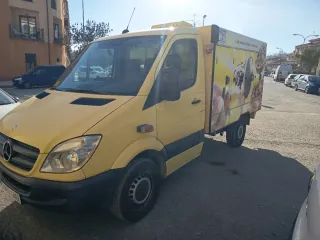 Mercedes-Benz Sprinter 2009